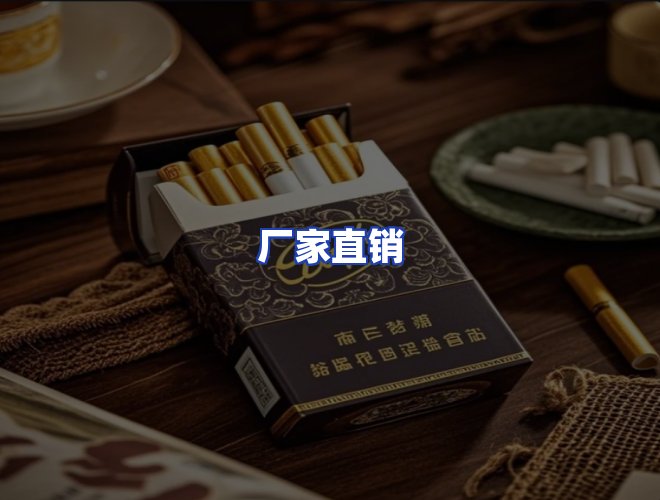 专业团队